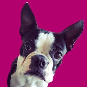 Meet your Posher, Kelli